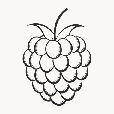 El çizimi ahududu çizimi. Yapraklı eski el yapımı ahududu. Vektör illüstrasyonu