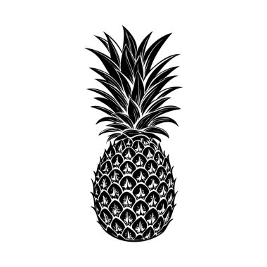 El çizimi ananas çizimi. Yapraklı klasik el yapımı ananas. Vektör illüstrasyonu