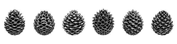 Pine cone icon. Set of six different fir cones isolated on white background. Vector illustration