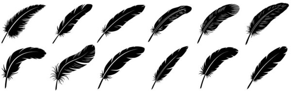 Иконки перьев. Черные силуэты различных перьев выделены на белом фоне. Векторная иллюстрация.