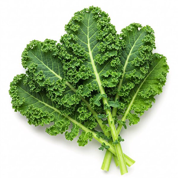 Kale, isolated on white background.