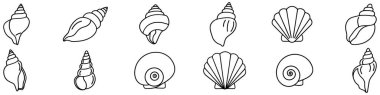 Siyah beyaz deniz kabukları. Beyaz arka planda izole edilmiş deniz kabuklarının basit lineer görüntüleri. Vektör illüstrasyonu.