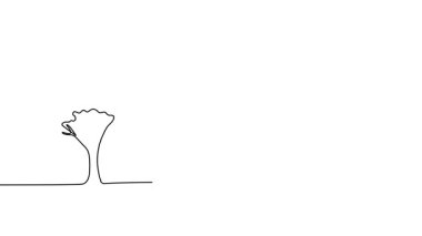 Bir ağacın tek çizgi çiziminin animasyonu. Ağacın sürekli çevresi. Tek satırlı kesintisiz video.