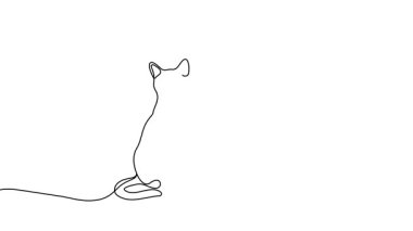 İki kedinin tek çizgi çiziminin animasyonu. İki kedinin sürekli hareket halindeler. Tek satırlı kesintisiz video.