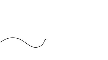 Kene izinin tek bir çizgi çiziminin animasyonu. Rozetteki işaretlerin sürekli konturu. Bir satır ve renk doldurmalı kesintisiz video.