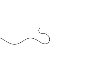 Bir çiçeğin tek çizgi çiziminin animasyonu. Bir çiçeğin sürekli çevresi. Tek satırlı kesintisiz video.