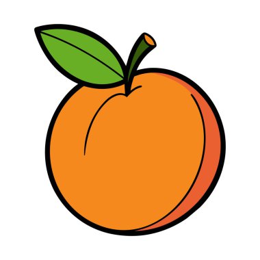 Renkli kayısı. Kayısı simgesi beyaz arkaplanda izole edildi. Vektör illüstrasyonu.