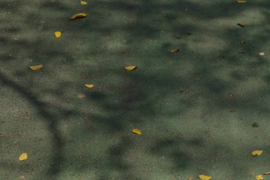 Doğal organik gölgeler, soyut desenli yeşil geçide bitki örtüsü diker..