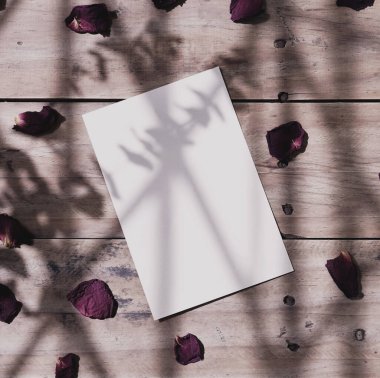 Beyaz kart boş ve bitkiler tahta üzerinde düz ve kuru gül yaprakları var..