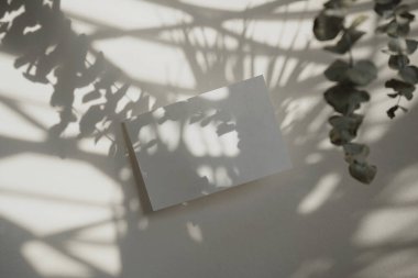 Gerçek fotoğraf beyaz kart tasarımı şablon aydınlatma gölgesi estetik arka plan