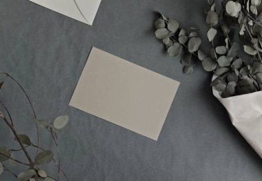 El okaliptüs dal buketi gri nötr palet tasarımı tarafından çekilmiş gerçek organik fotoğraf.