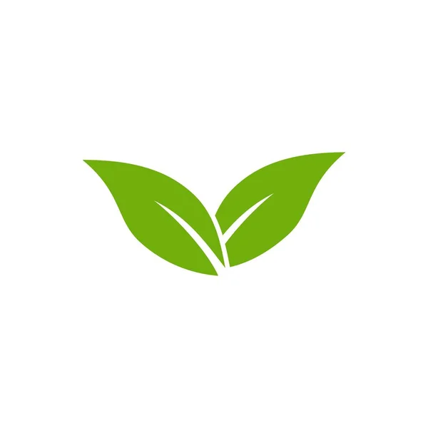Zielone Liście Ikon Ustawione Ekologiczny Symbol Naturalnych Liści Dla Logo — Wektor stockowy