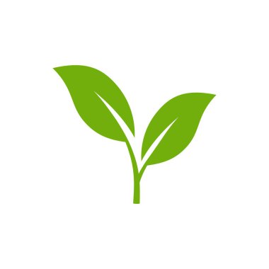 Yeşil yaprak simgeleri ayarlandı. Çevre logosu için doğal yeşilliğin eko sembolü ve kimyasal ve zararlı vektör katkı maddeleri olmadan gıda kalitesi işareti