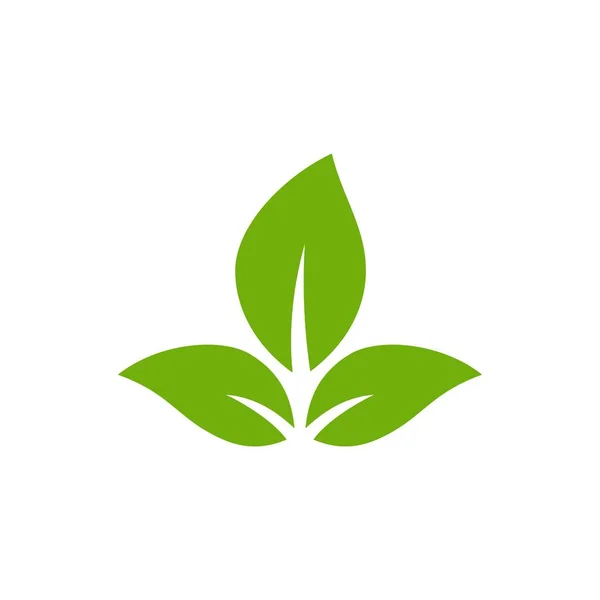 绿色留下的图标设置 无化学和危险病媒添加剂的环境标识和食品质量标识天然叶绿素生态符号 — 图库矢量图片