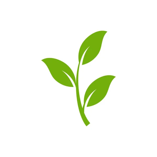 Zelená Listí Ikony Nastavit Ekoznačka Přírodního Zeleň Pro Logo Životního — Stockový vektor