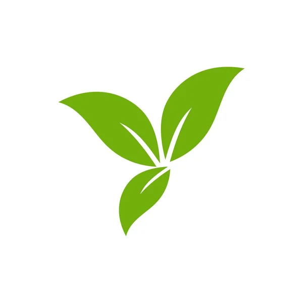 绿色留下的图标设置 无化学和危险病媒添加剂的环境标识和食品质量标识天然叶绿素生态符号 — 图库矢量图片