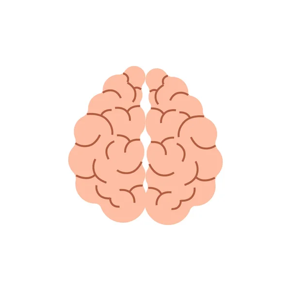 Мозок Звивинами Рожевий Орган Мислення Символ Творчих Ідей Неврологічної Системи — стоковий вектор
