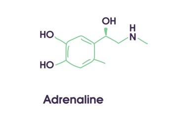 Adrenaline adrenalin, epinephrine neurotransmitter molecule. Skeletal formula.