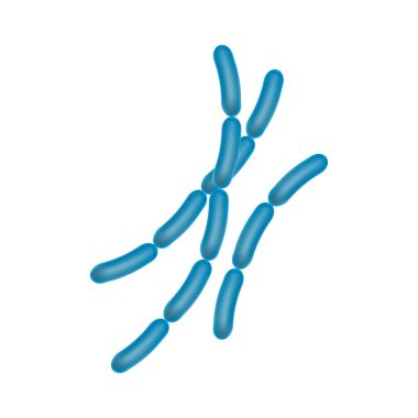 Viruses, germs and bacteria, microorganism types. Illness or disease mi croscopic cells and infection, microbes and antibodies.