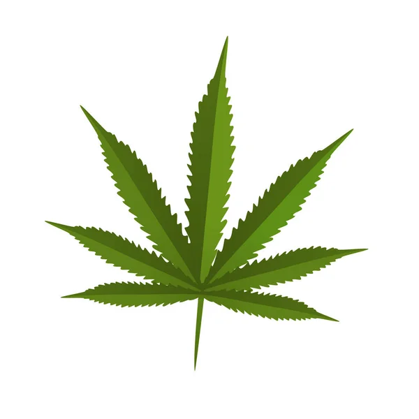 Green Leaf Marijuana Legal Organic Doping Based Substance Cannabis Smoking — Stock Vector