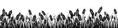 Buğday tarlası. Altın buğday dalları Siyah siluet