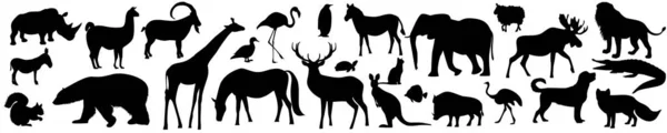 Wild animals and birds silhouette. Bear with giraffe and elk with elephant traced deer design with vector kangaroo