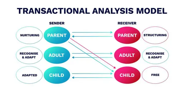 stock vector Transactional analysis model. Structuring of positive parenting with model of trust protection and fear elimination with stressful vector interactions