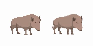 İki stil pikseli yaban domuzu yan yana tasvir edilir, minimalist tasarım elementleri sergilenir..