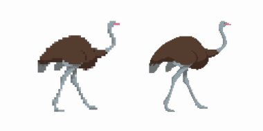 Piksel sanat devekuşları uzun bacakları ve zarif eğri boyunlarıyla yürüyorlar. Basit bir şekilde gösterilir.