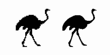 Silüet içinde iki devekuşu uzun boyun ve bacakları sergiler, yan yana zarifçe yürürler..