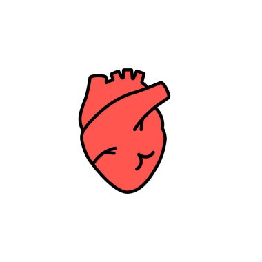 Açık çizgileri olan anatomik kalp, basitliği ve yapıyı vurguluyor, tıbbi temaları temsil ediyor.