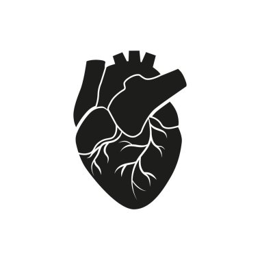 Basit siyah anatomik kalp silueti beyaz atardamarların yapısından ayrıldığını gösteriyor.