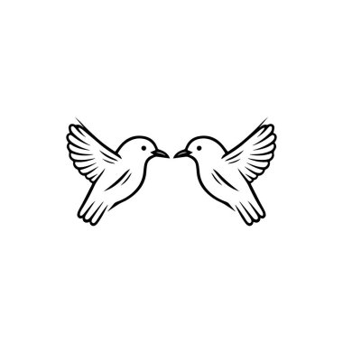 Seagul kuş logosu vektör illüstrasyon şablonu