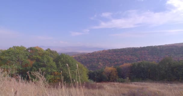 Vychází Trávy Obloze Hor Vysoká Hustá Tráva Barevné Podzimní Stromy — Stock video
