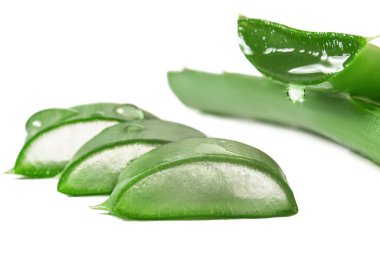 aloe vera taze dilimler ve yapraklar beyaz arka planda izole