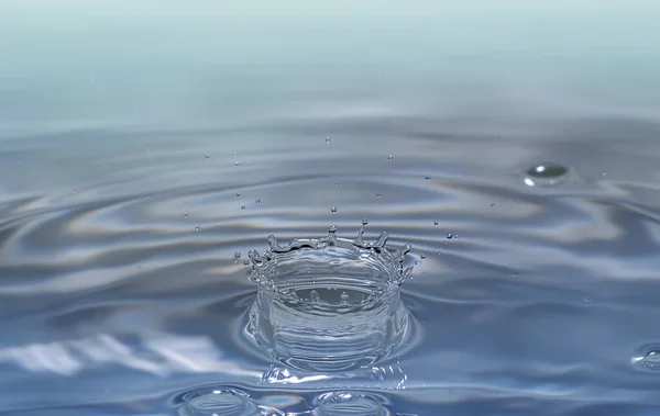 Gotita Agua Acuática Clara Salpicando Círculos Concéntricos Capturando Una Pureza —  Fotos de Stock