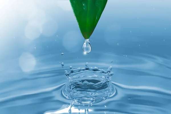 Water Droplet Falling Green Leaf Tranquil Body Water Creating Ripples — Stock Photo, Image