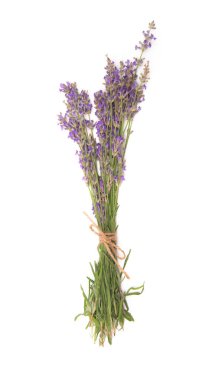 Beyaz arka planda izole edilmiş taze lavanta çiçeklerinden oluşan bir buket yakın plan görüntüsü..