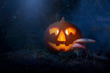 Tek bir balkabağı feneri karanlık ormanı aydınlatır. Ürkütücü bir Cadılar Bayramı atmosferi yaratır. Parlayan yüzü ve büyüleyici ışığıyla..