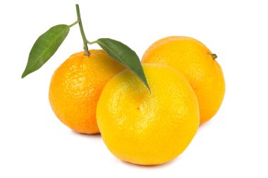 Üç olgun turunçgil meyvesi yeşil yapraklarla yan yana oturur parlak sarı ve turuncu renklerini berrak ve canlı bir atmosferde sergilerler..