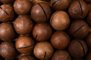 Büyük Macadamia fındıkları, sert kabuklarını ve zengin kahverengi renklerini vurgulayarak, kaba ahşap bir arka planda dinlenerek yakından toplanır..