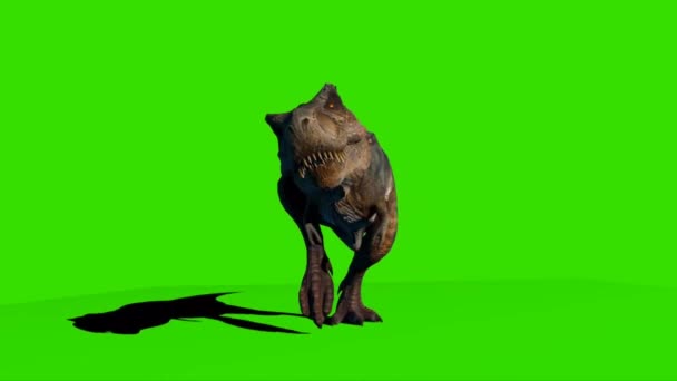 Tyrannosaurus Rex Auf Grünem Bildschirm — Stockvideo