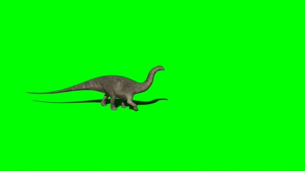 Apatosaurus Caminhando Tela Verde — Vídeo de Stock