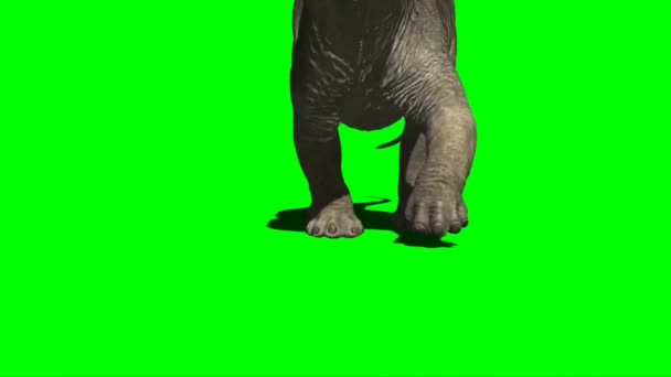 Apatosaurus Piedi Sullo Schermo Verde — Video Stock