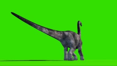 Brachiosaurus Roaring on Green Screen