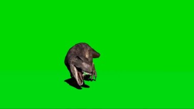 Giganotosaurus Roaring on Green Screen