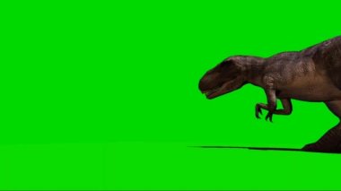 Giganotosaurus Walking on Green Screen