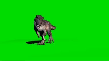 Giganotosaurus Yeşil Ekranda Yürüyor