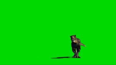 Giganotosaurus Walking on Green Screen