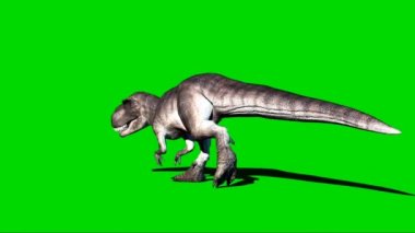 Giganotosaurus Yeşil Ekranda Yürüyor